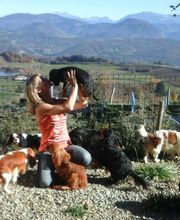 DU SOUVENIR DES DICKS image 1