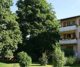 LEDER Garten- + Landschaftsbau Bild 4