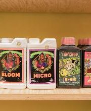 Black Duck Bazaar immagine 18