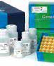 PCR-Labor-Services GbR Bild 3