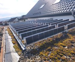 Vertikal Gründach PV2