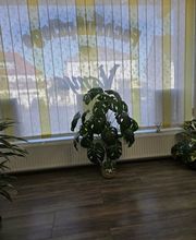 Fachfußpflege Vanya Bild 7