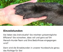 Sundogs Hundeschule Bild 3