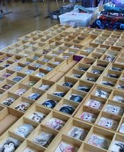 Jovissa Tanja Drescher Bild 1