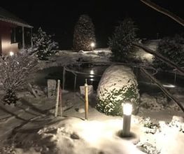 Bregnitzhof Bild 3