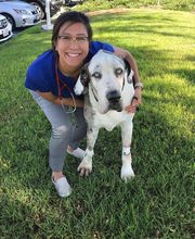 Irvine Valley Veterinary Hospital Emergency image 11