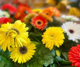 Blumenboutique Melanie Bild 5