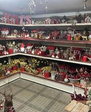 Blumen Schmitz Bild 5