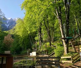 Leman Forest image 5