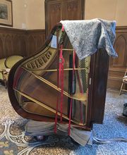 Danel Hervé image 4