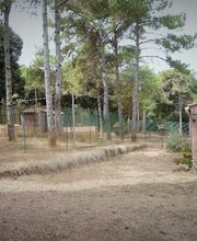 Pension De La Rosée Du Soleil image 12