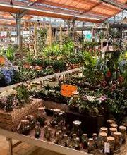 HORNBACH Gartencenter Neu-Ulm Bild 1