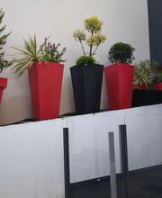 LTS Paysage image 18