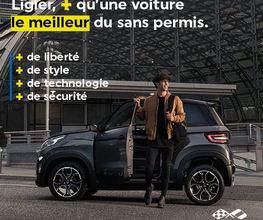 Voiture Sans Permis image 16