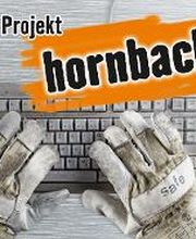 HORNBACH Galgenen Bild 1