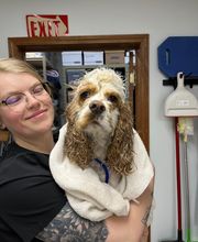 The Village Veterinarian image 12