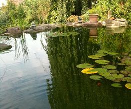 Gschwend Gartenbau und Gartenpflege GmbH Bild 12