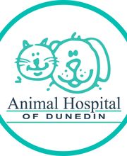 Animal Hospital of Dunedin image 17