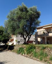 Senioriales de Grasse - Résidence seniors image 2