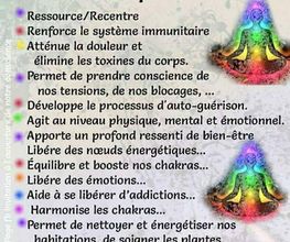 Ghier Accompagnement image 5