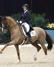 Joana Peterka Dressage Bild 2