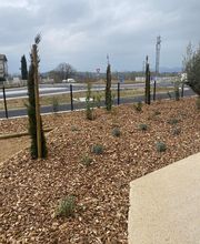 ARNAL SoFoCev image 12