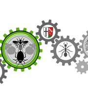 Schädlingsbekämpfung Schätzlein Bild 1