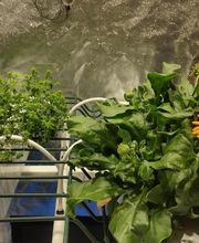 Le Jardinier Français - Growshop Hydrozone Nîmes image 10