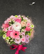 Terre De Couleurs image 1