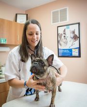 Pine Bluff Animal Hospital image 4