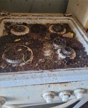 Sos Antinuisibles 54 image 9