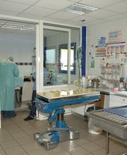 Clinique vétérinaire An Avel image 7