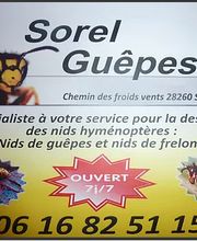 Sorel Guêpes 28 image 2