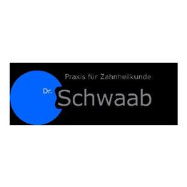 Dr. Sebastian Schwaab