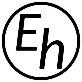 Eisenmann u. Hommes GmbH & Co. KG