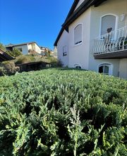 FB12.jpeg