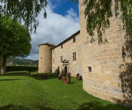 Château des Ducs de Joyeuse image 18