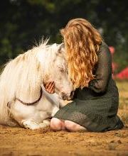 Beshepherd Tierfotografie - Sophie Lombeck Bild 5