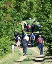 Espace VTT n1 image 4