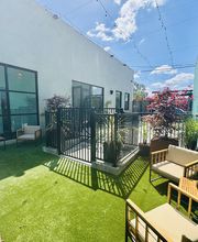 Green Dog Dental and Veterinary Center image 2