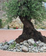 Naud Alexsandre image 1