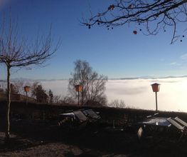 Restaurant Weinberg Warth Bild 6