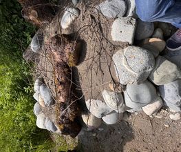 Gartencoach Dario Peyer Bild 9