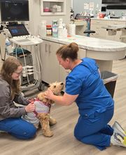 River Oak Vet image 16