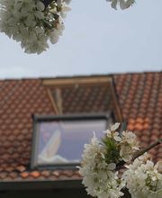 P&K Dachfenster Bild 4