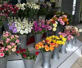 Blumen Haider Bild 3