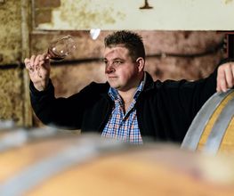 Weingut Markus Schädler Bild 6