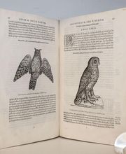 LIBRAIRIE BERTRAN image 3
