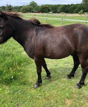 Eclair et Coquin image 12