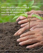 Zanagro Agrocomercial imagen 17